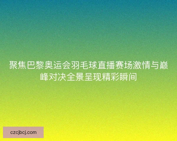 聚焦巴黎奥运会羽毛球直播赛场激情与巅峰对决全景呈现精彩瞬间